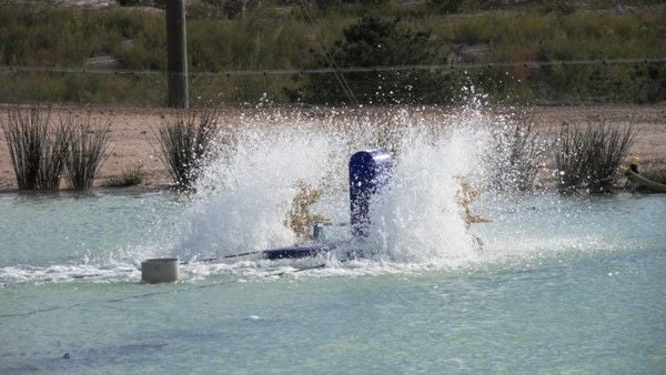 Paddlewheel Dam and Pond Aerators Western Australia