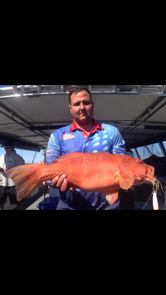 Fishing Gear Suppliers in Perth, Western Australia Fishing Gear