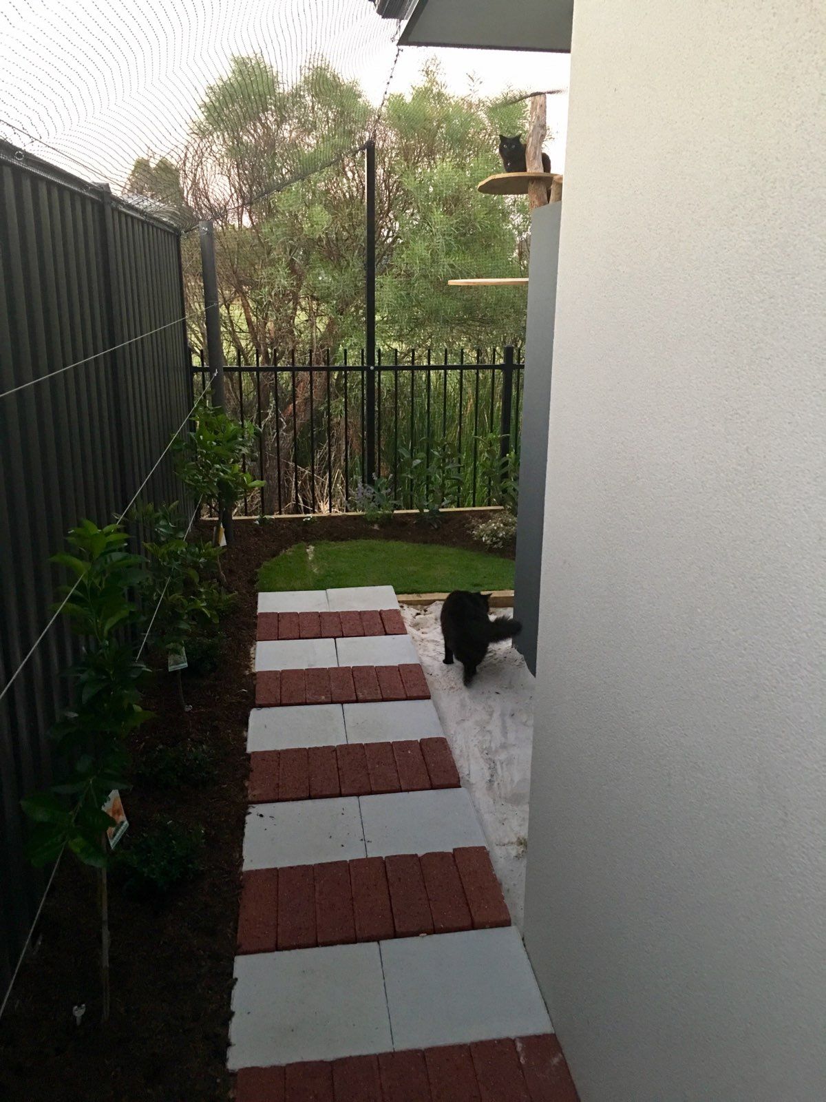 Cat Netting in Perth, Wa