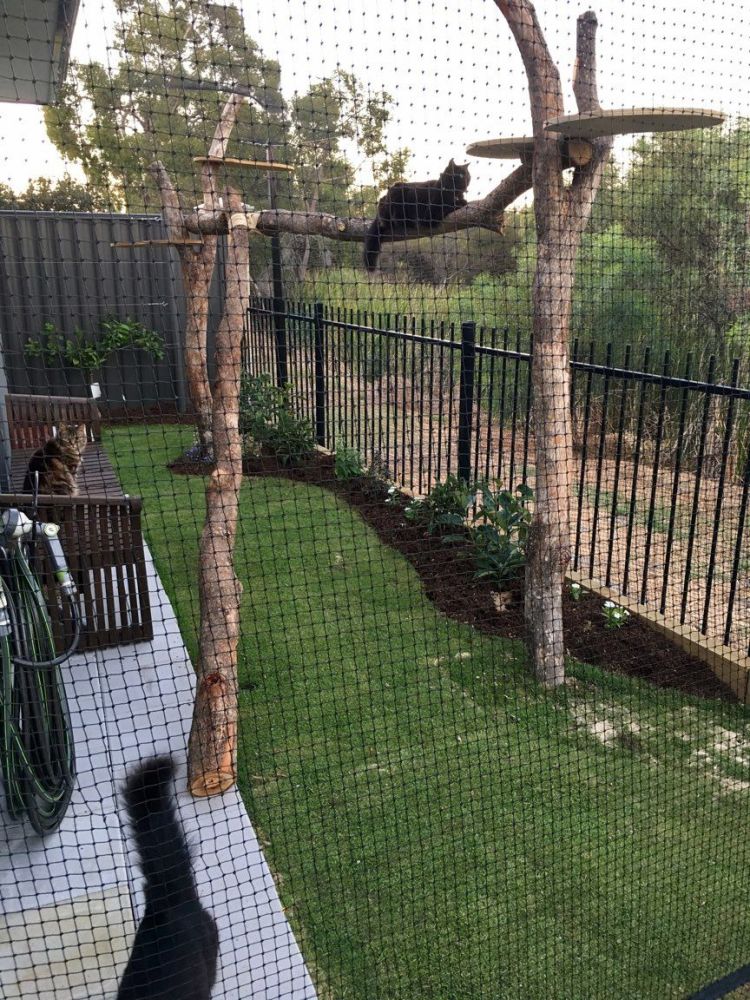 Cat Netting Suppliers in Perth, Western Australia Cat Nets and Netting Accessories Wholesaler