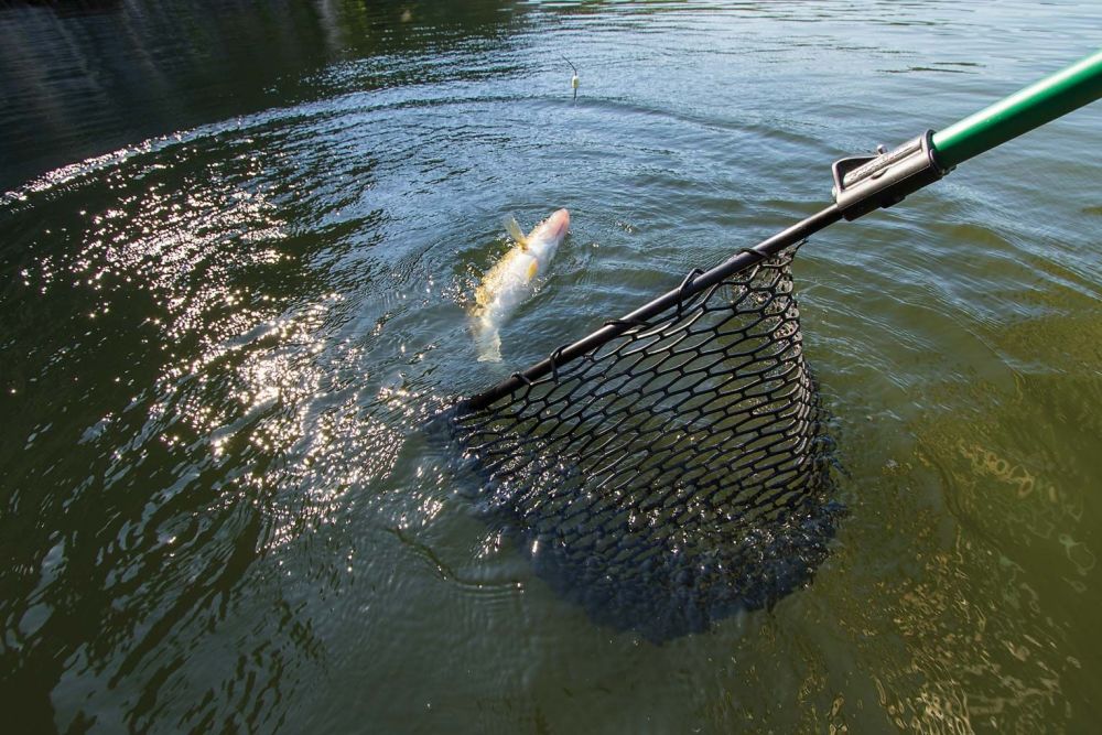 Landing Net Suppliers Perth, Western Australia Fish Landing Nets