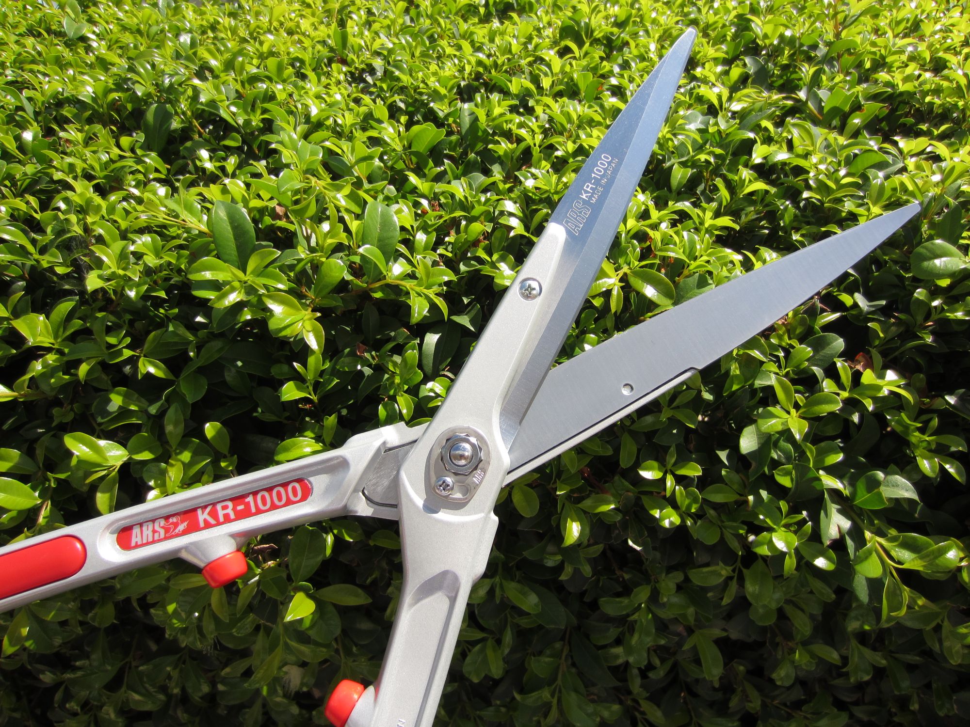 ARS Hedge Shears Australia