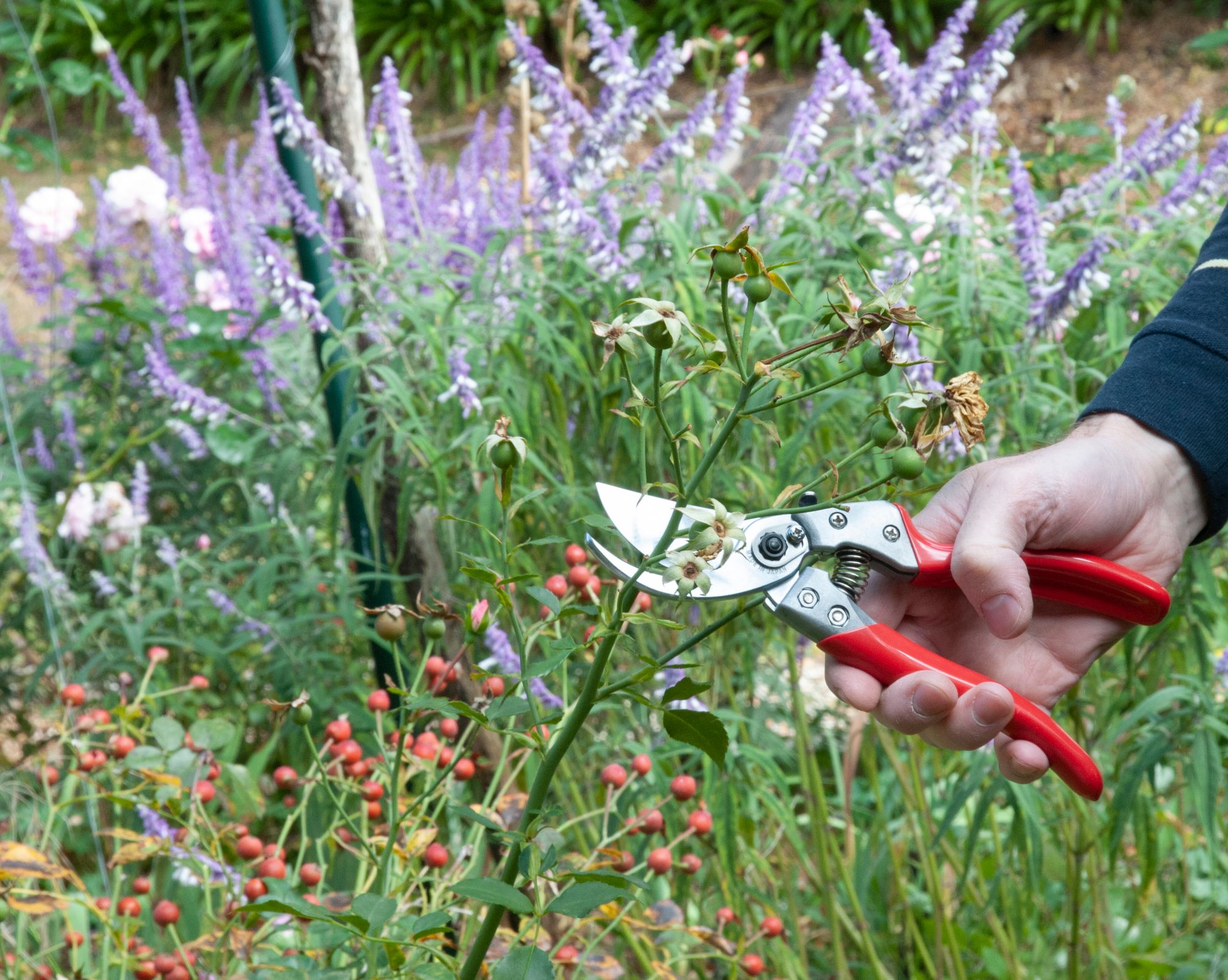 Gardening Tool Suppliers in Perth, Western Australia