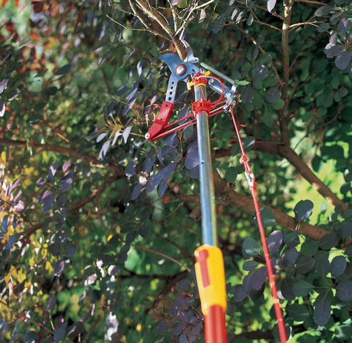 Wolf Anvil Lopping Head For Sale in Perth, Western Australia