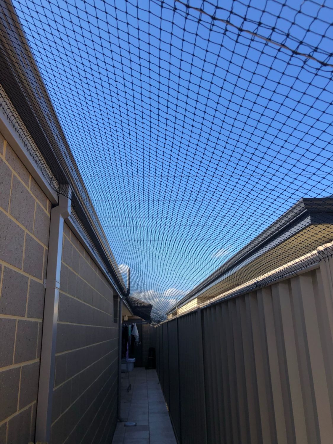 Cat Netting Suppliers in Perth, Western Australia Cat Nets and