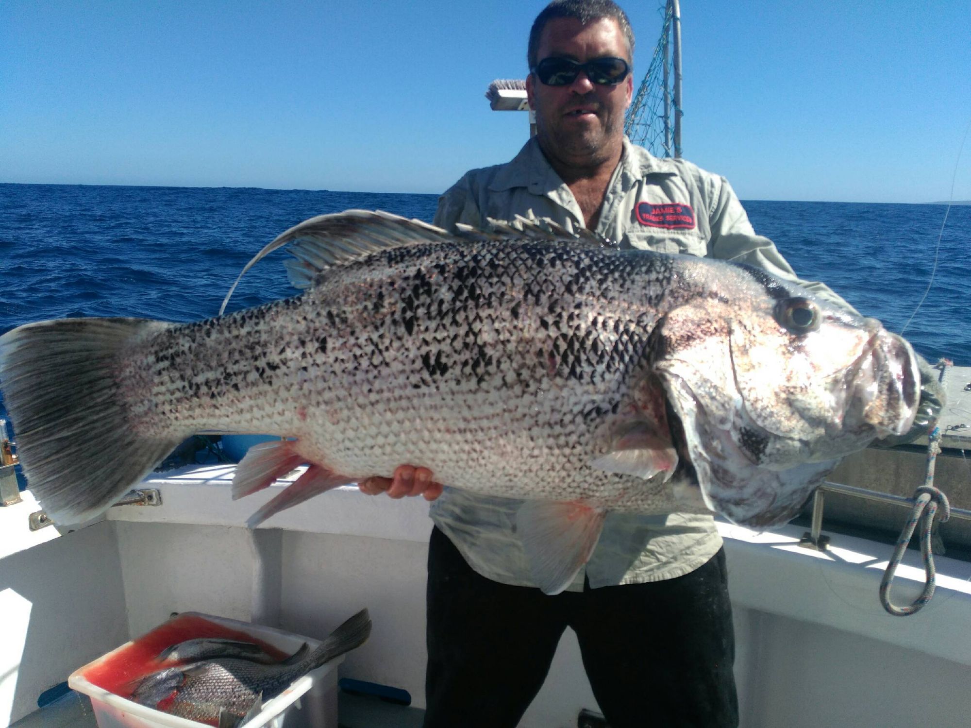 Deep Drop Fishing Products Wholesaler Perth Western Australia