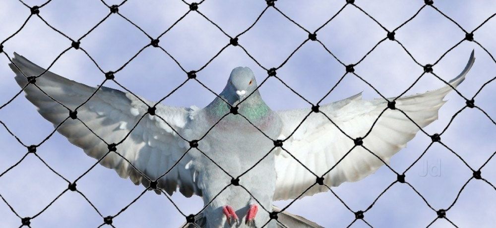 Bird Netting For Sale Australia