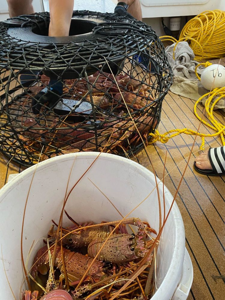 Fishing Gear Suppliers in Perth, Western Australia Fishing Gear