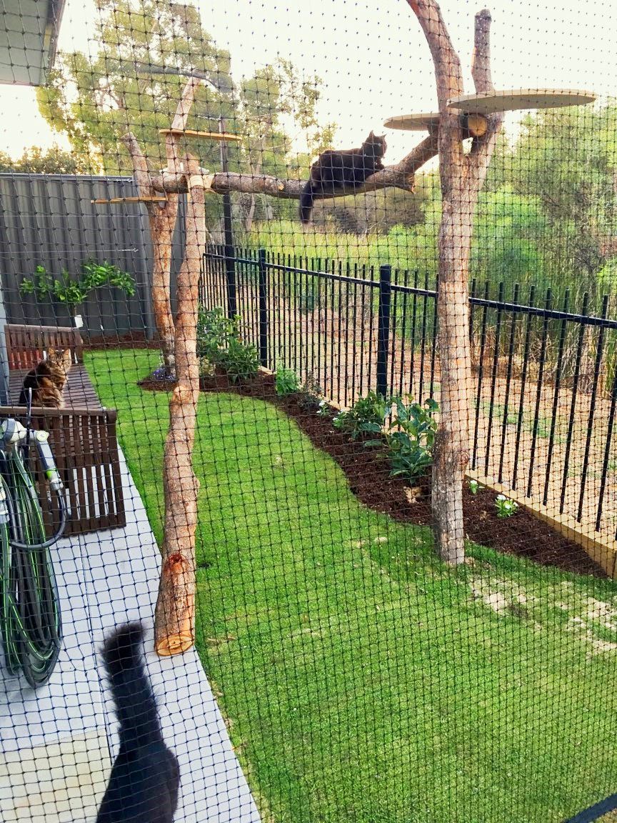 DIY Cat Net Installation Perth
