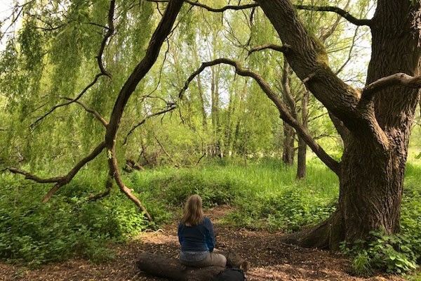 Forest Bathing and Woodland Wellbeing Walk for One in Brighton