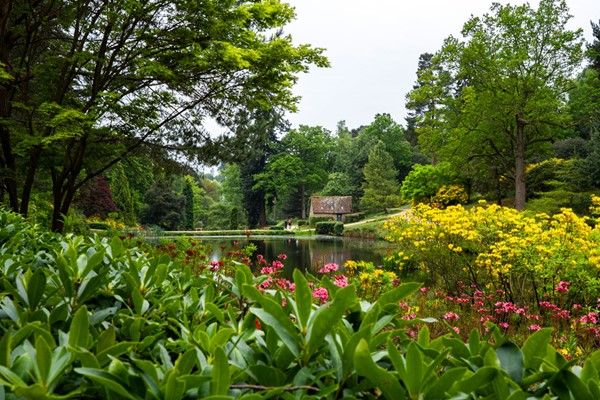 Take in a Wine Tasting and Garden Entry for Two at Leonardslee Lakes and Gardens