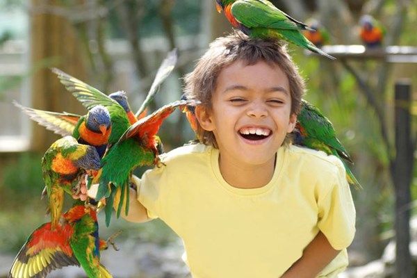 Enjoy an animal encounter or zookeeper experience at Drusillas Zoo Park 