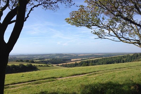 Go on a Ramble in The South Downs with a Cream Tea for Two