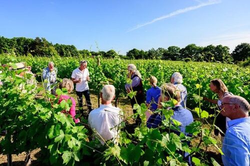 There's a Tour and Tasting for Two at Bluebell Vineyard Estate