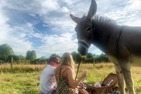 How about a Dashing Donkeys Meet, Walk and Picnic?