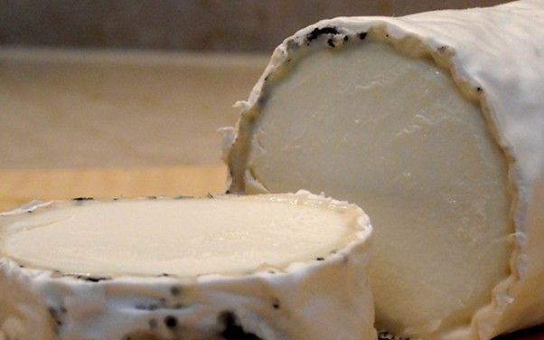 This is the Golden Cross - a deliciously creamy goats' cheese