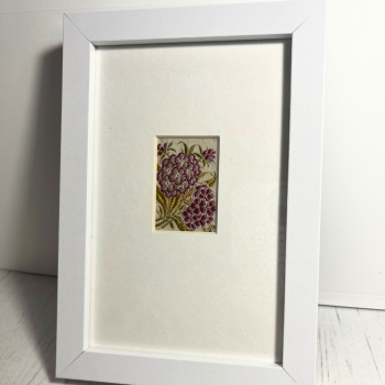  Framed Sweet William Embroidery