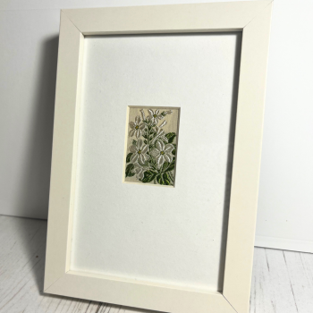  Framed Nicotiana Embroidery