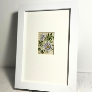  Framed Passion Flower Embroidery