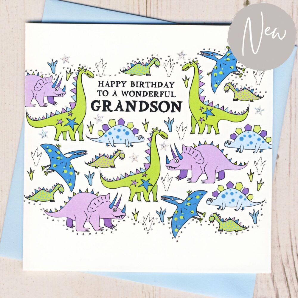 <!-- 016 -->Grandson Dinosaur Birthday Card