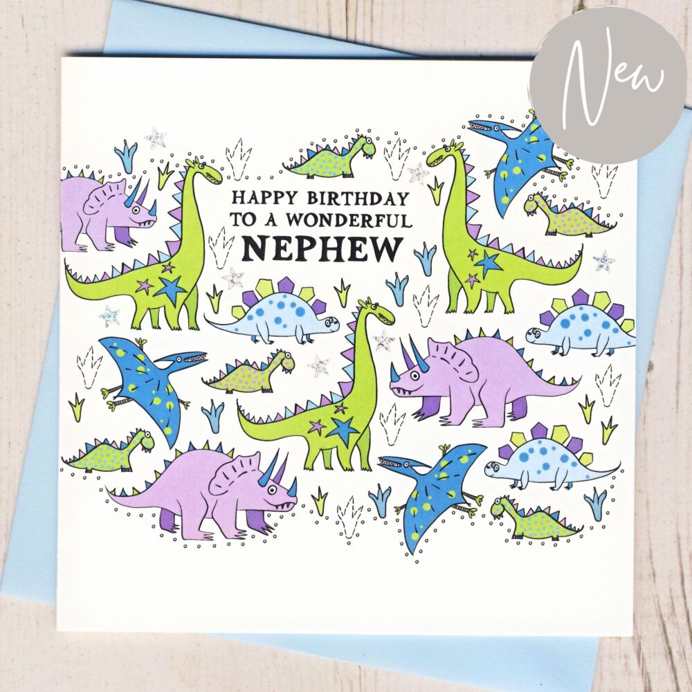 <!-- 020-->Nephew Birthday Card