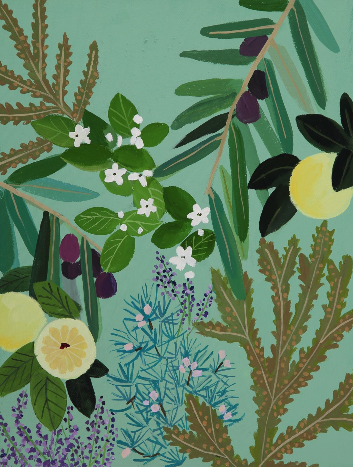 An illustrates selection of leaves, fruit and flowers on an aquamarine background