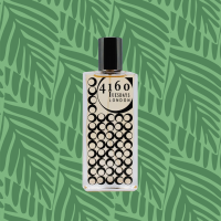 A Walk In The Forest 50ml