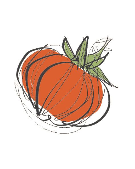 Tomato Natural 10g