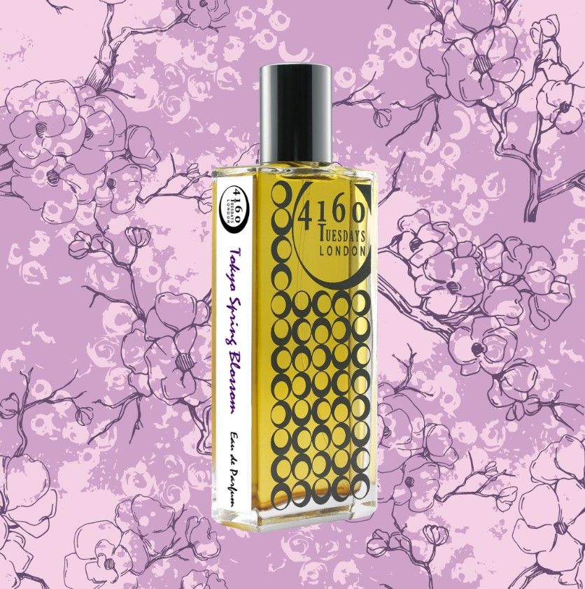 Tokyo Spring Blossom