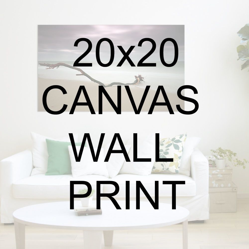 20x20" Canvas Wrapped Prints