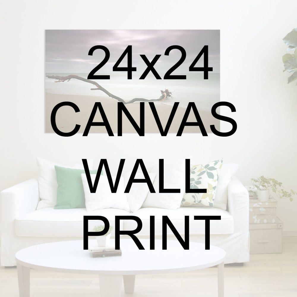 24x24" Canvas Wrapped Prints