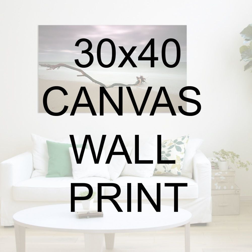 30x40" Canvas Wrapped Prints