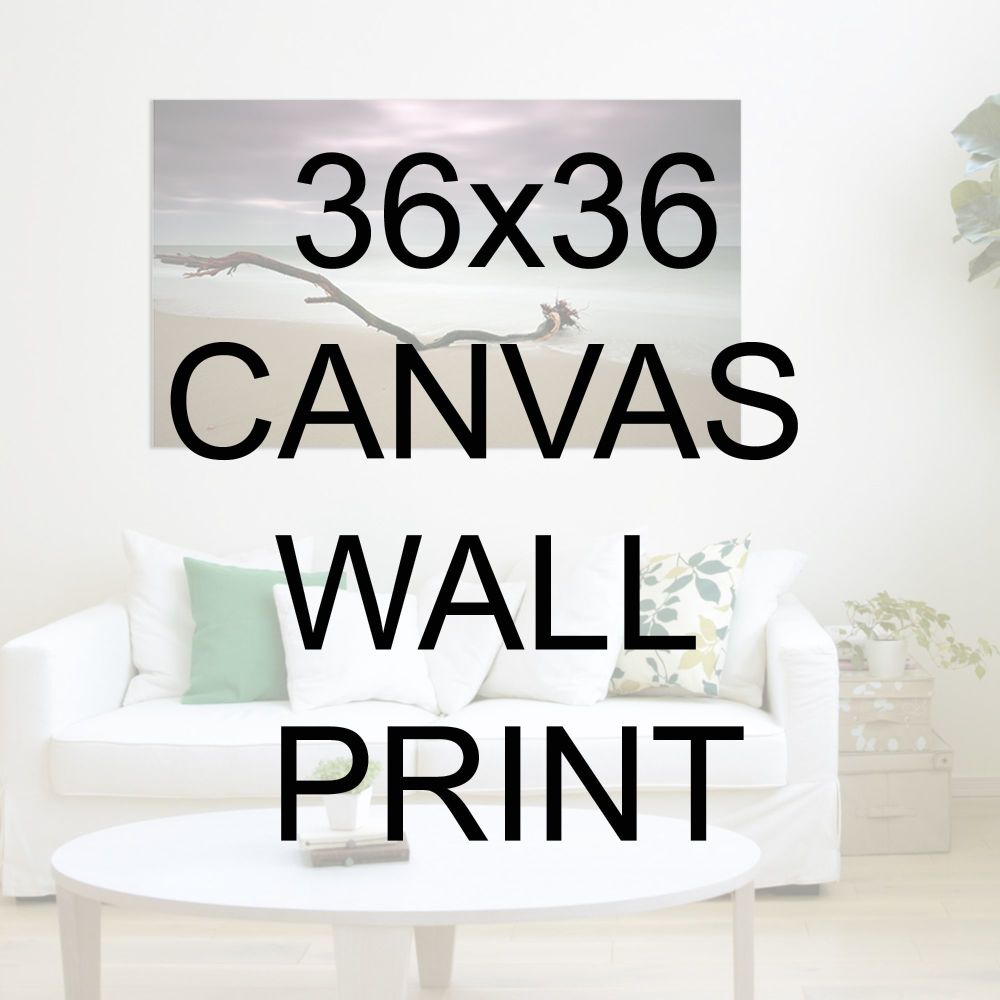 36x36" Canvas Wrapped Prints