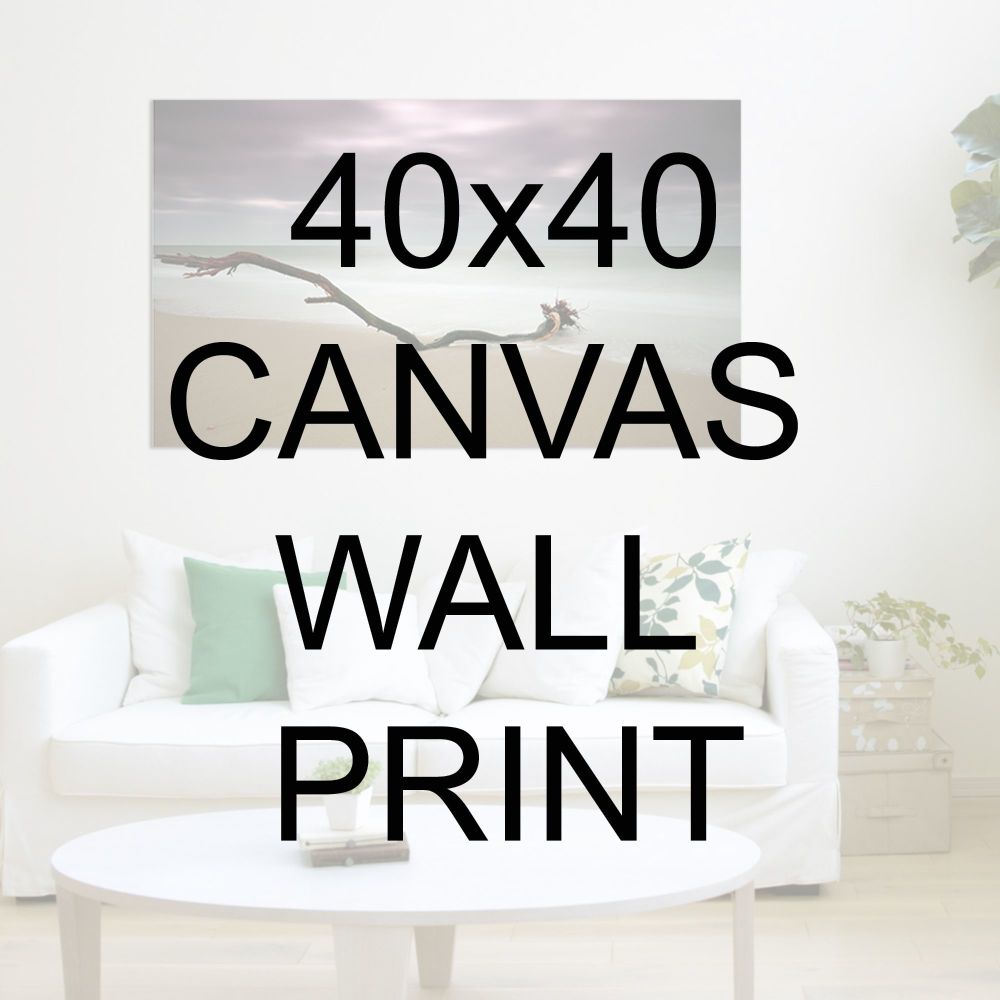 40x40" Canvas Wrapped Prints