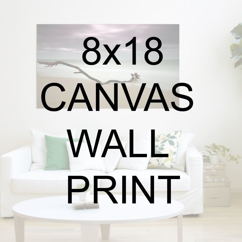 8x18" Canvas Wrapped Prints