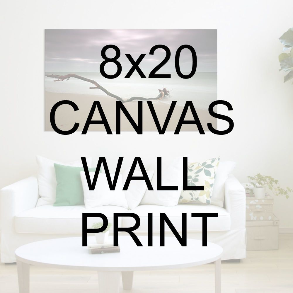 8x20" Canvas Wrapped Prints