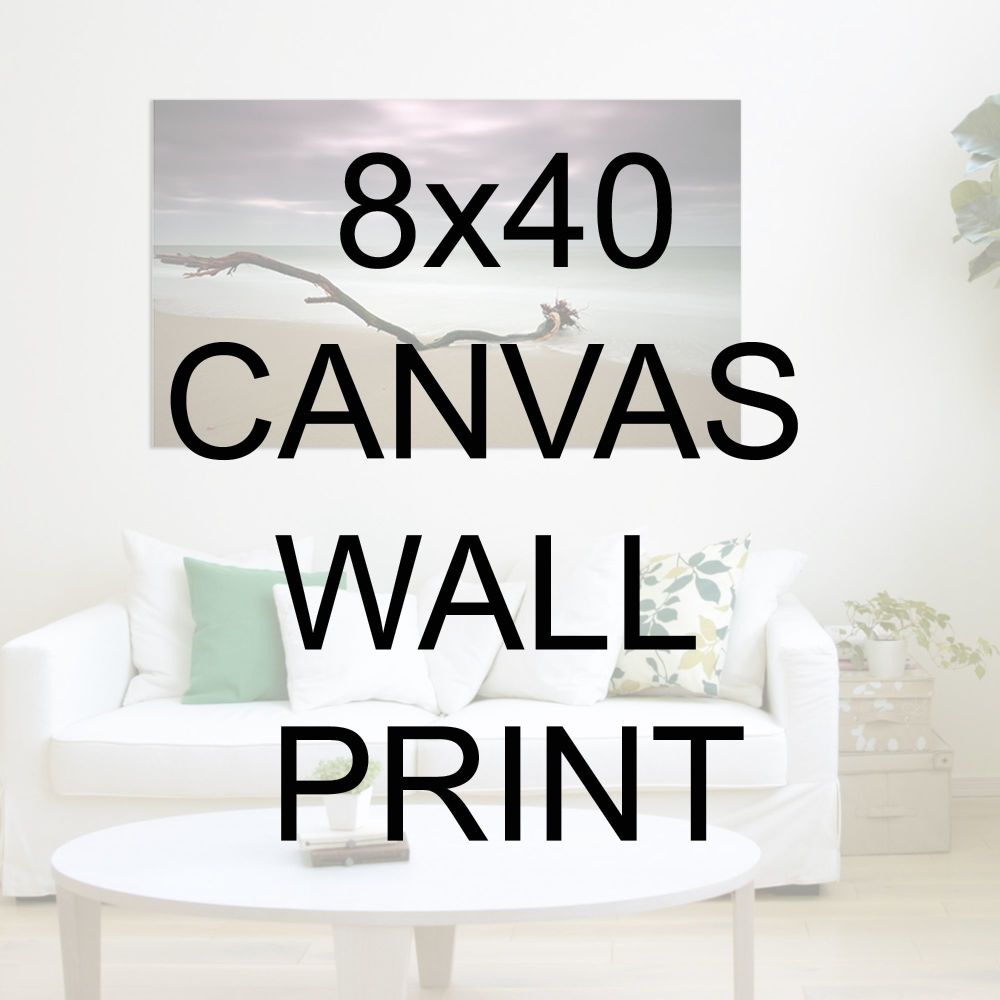 8x40" Canvas Wrapped Prints