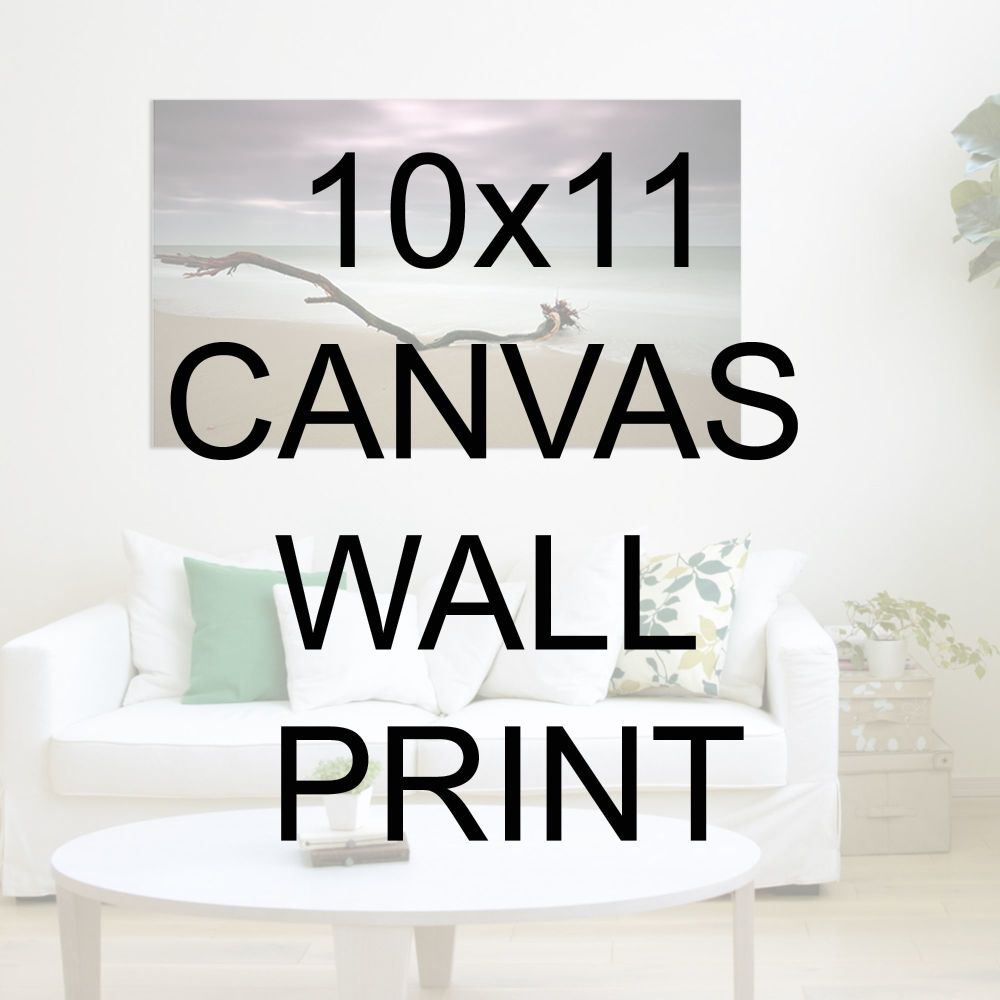 10x11" Canvas Wrapped Prints