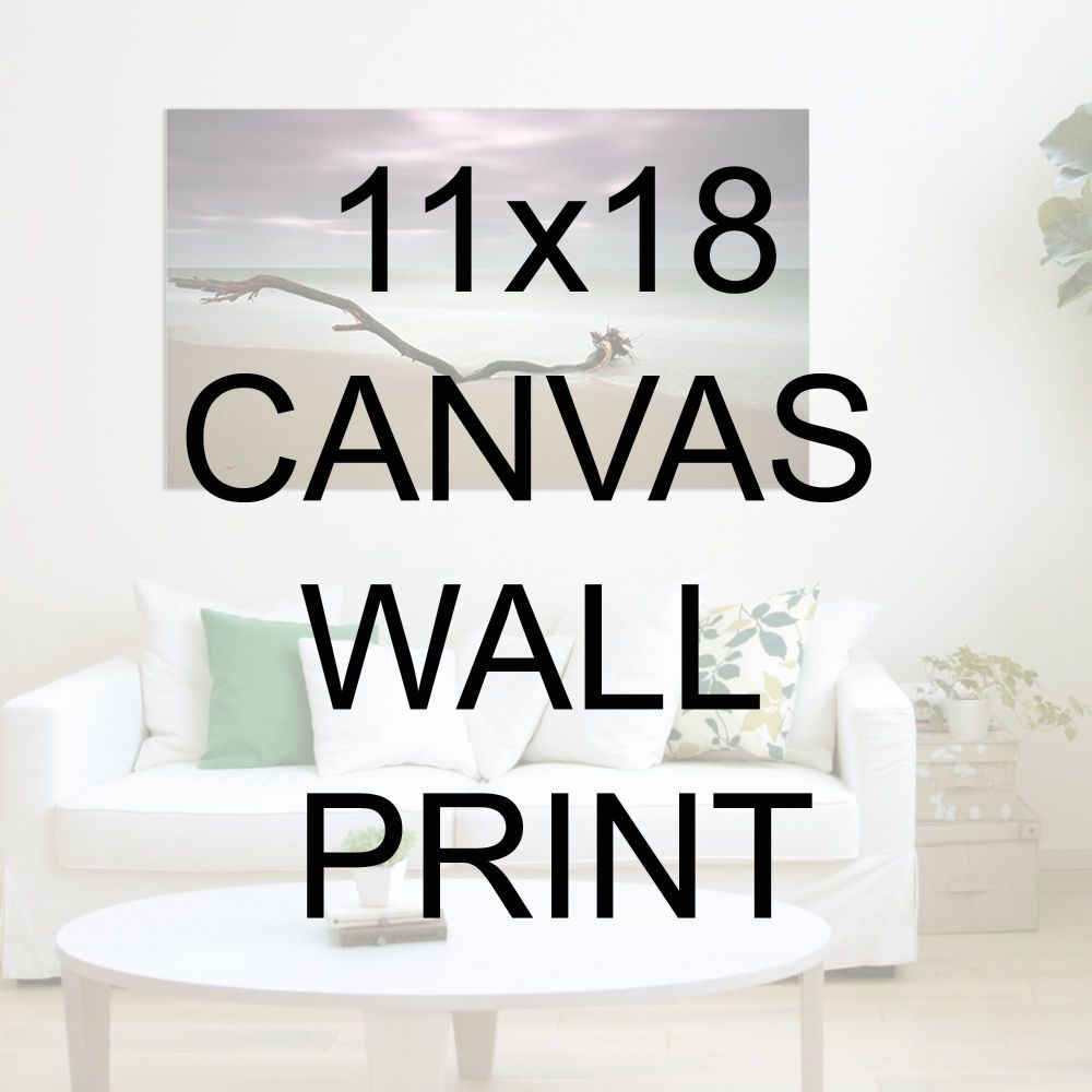 11x18" Canvas Wrapped Prints