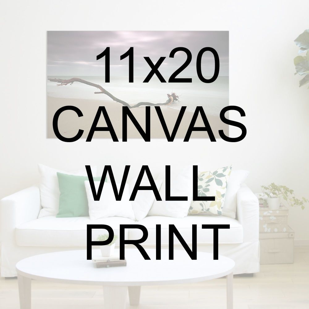 11x20" Canvas Wrapped Prints