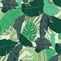 SUMMER PALM Matt
