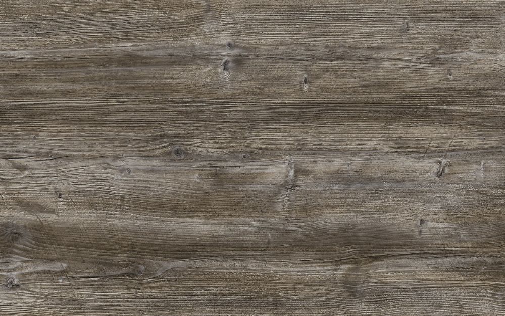 Dark Driftwood - Nature Texture