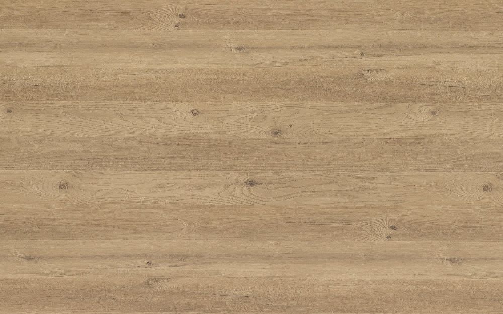 Cedarwood - Fibril Texture