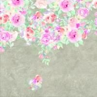 Bushboard Alloy Urban Cluster 3mtr x 600mm Splashback