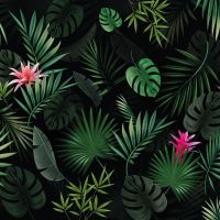 Showerwall SCA58 Bromelia - 2.4mtr Square Edged Wall Panel