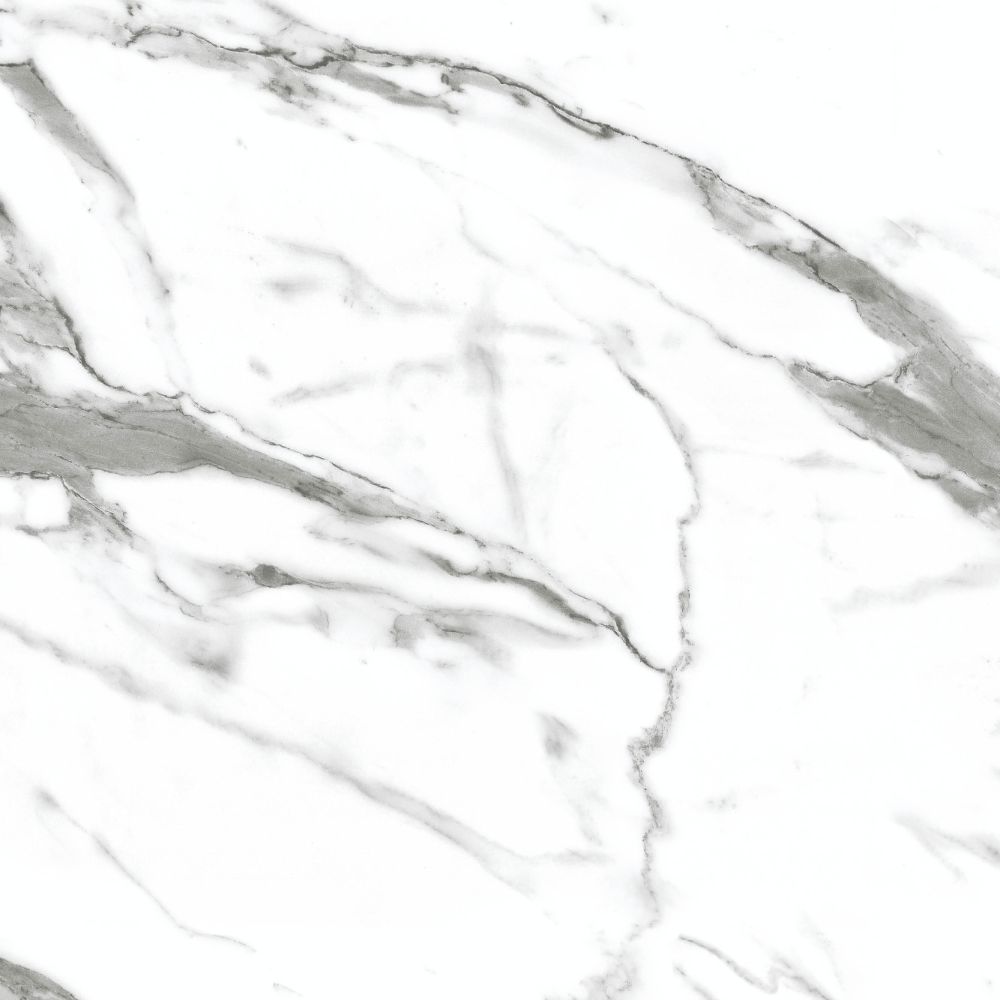 Alloy White Marble - Shell Texture