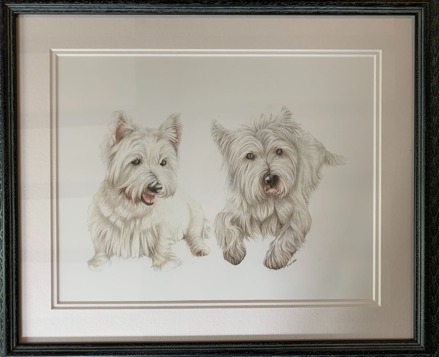 Westie Pet Portrait