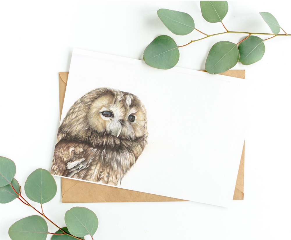 'Tawny Owl' - Greetings Card