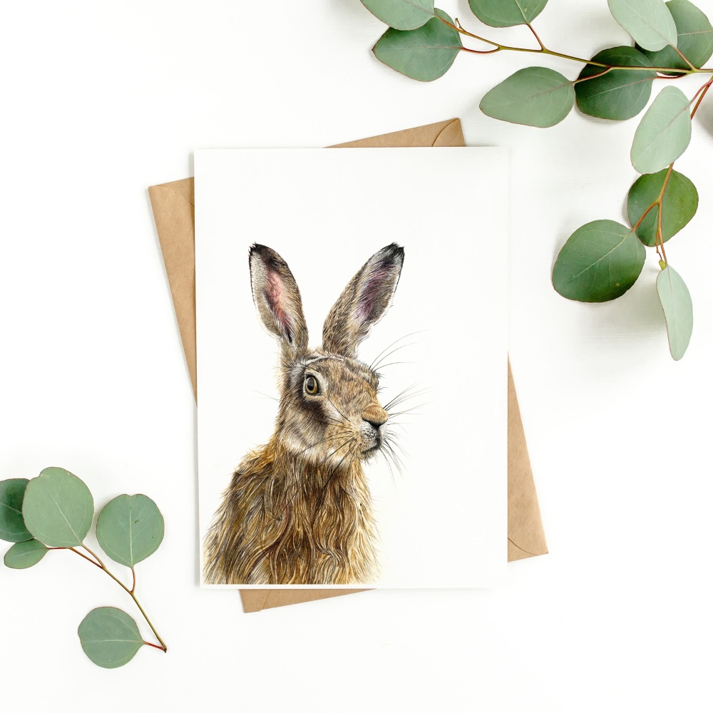 'Brown Hare' - Greetings Card