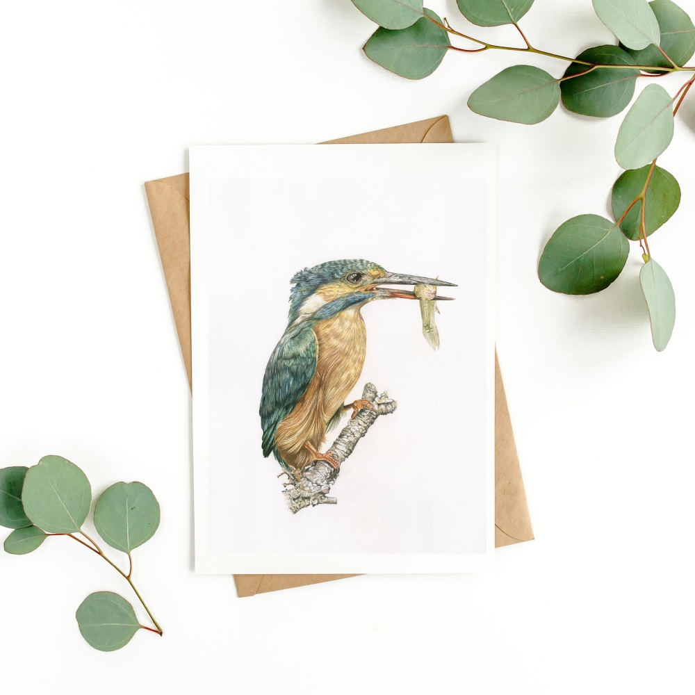 'Kingfisher' - Greetings Card
